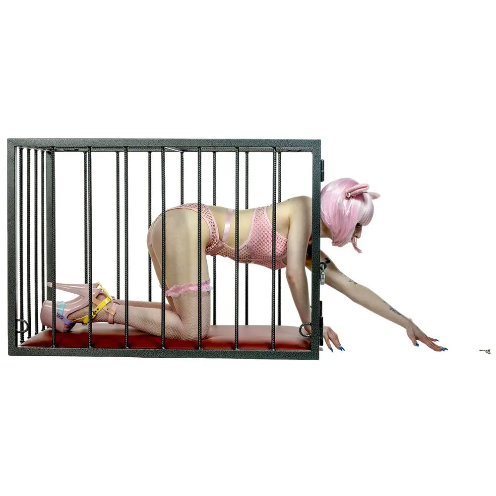 Dismantlable BDSM Bondage Cage