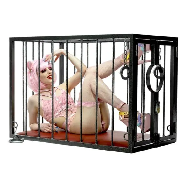 Dismantlable BDSM Bondage Cage With Padded Top