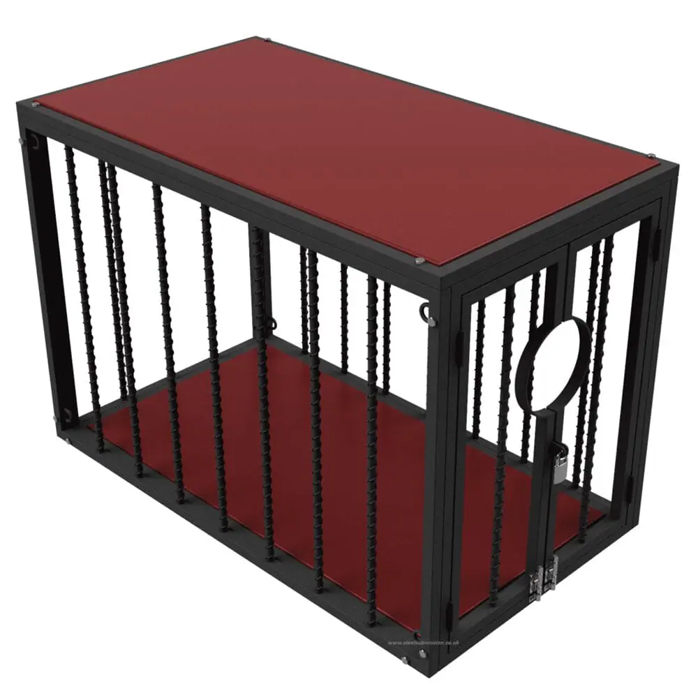 Dismantlable BDSM Bondage Cage With Padded Top - Image 4