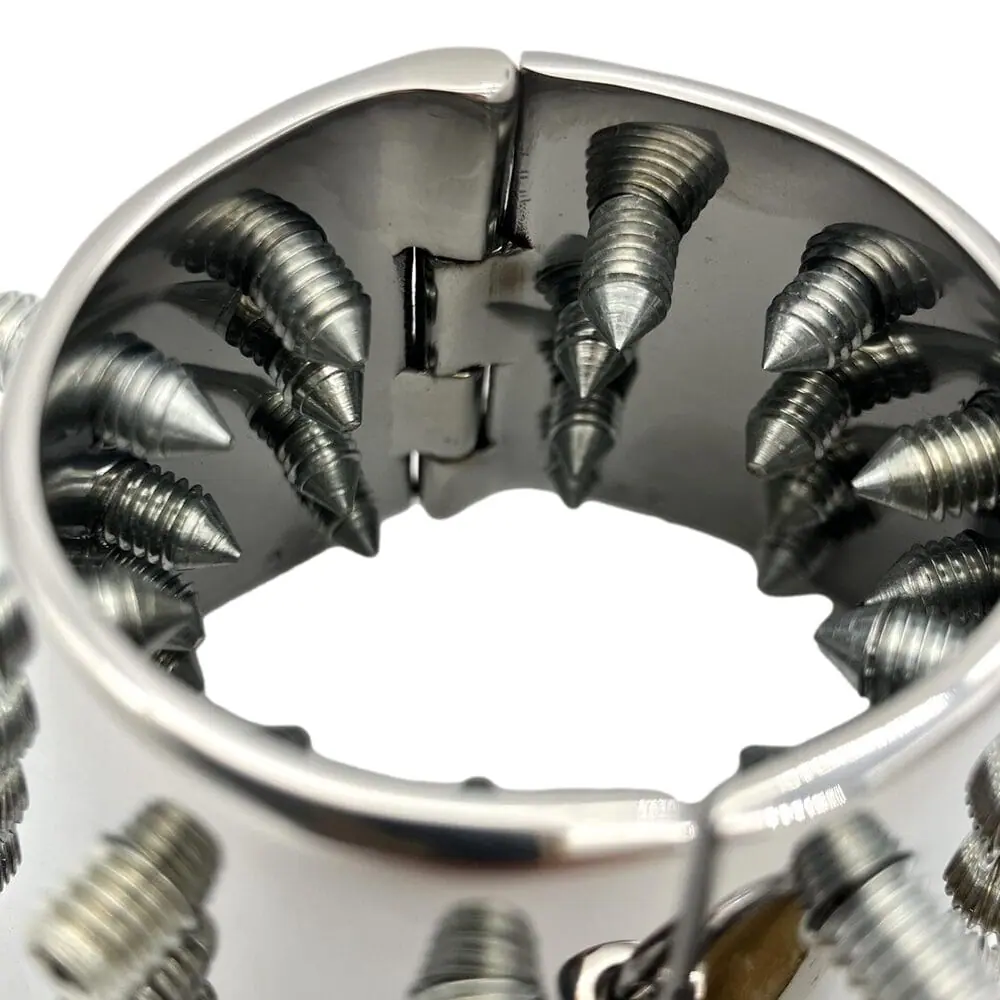 Spiked Ball Cage - Image 5